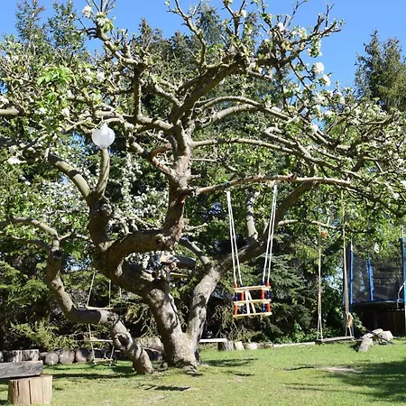 Alpakatherapie Und Apartament *