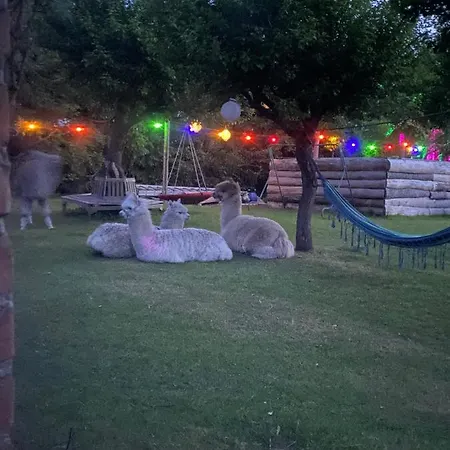 Apartmán Alpakatherapie Und *