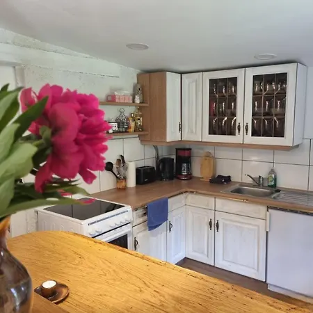 Alpakatherapie Und Apartmán