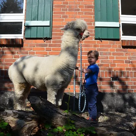 Alpakatherapie Und *