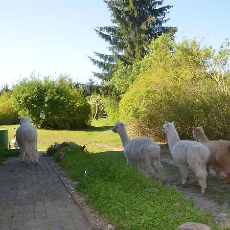 Alpakatherapie Und Apartmán *