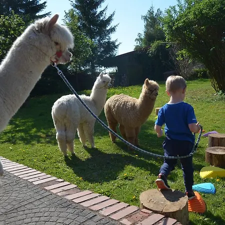 Apartmán Alpakatherapie Und