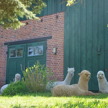 Alpakatherapie Und *