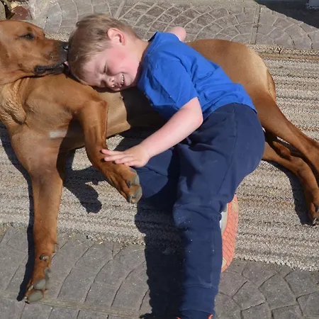 Alpakatherapie Und Apartmán *