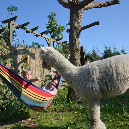 Alpakatherapie Und Apartmán Charlottenthal