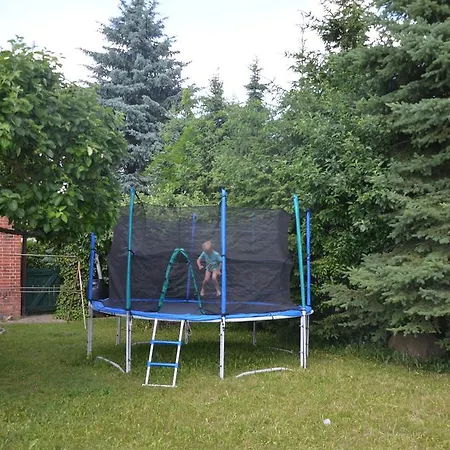 Alpakatherapie Und Charlottenthal